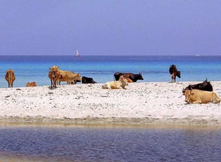 Salessiya Beach