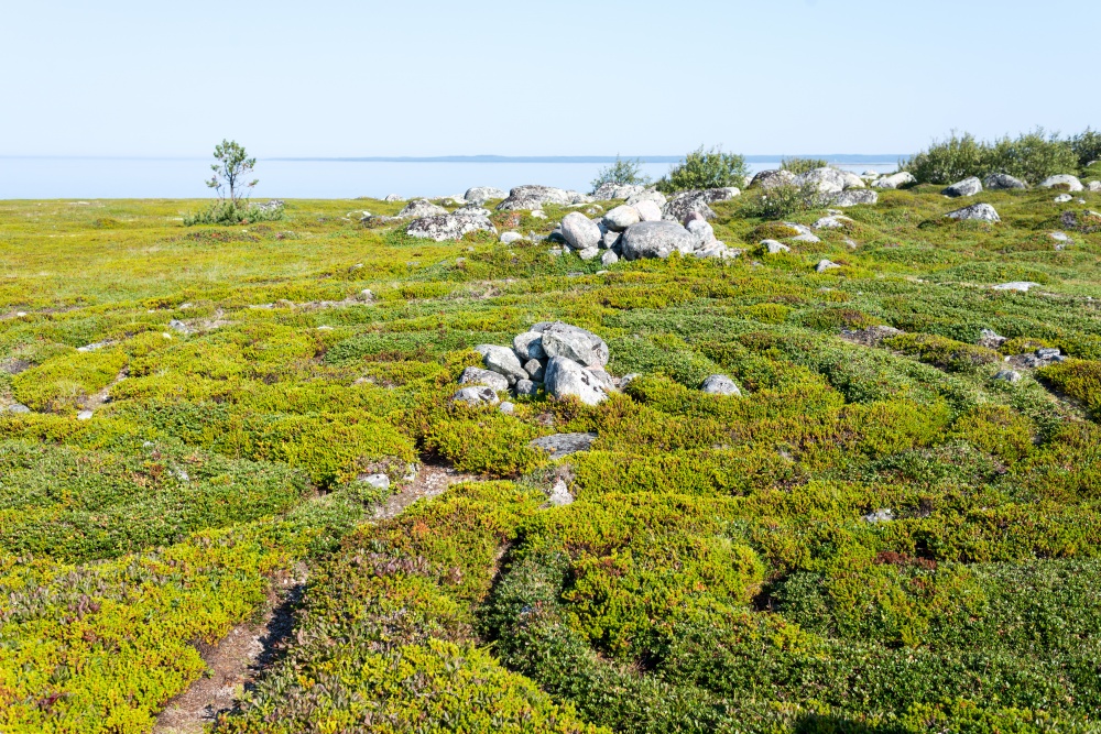 Large Zayatsky maze
