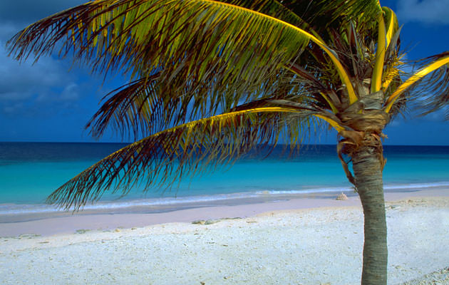 pink-beach-bonaire-depositphotos